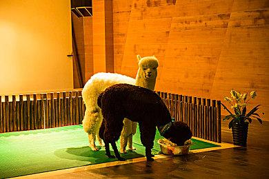 《苍穹浩瀚：奥西里斯重生》公布首支游戏预告片